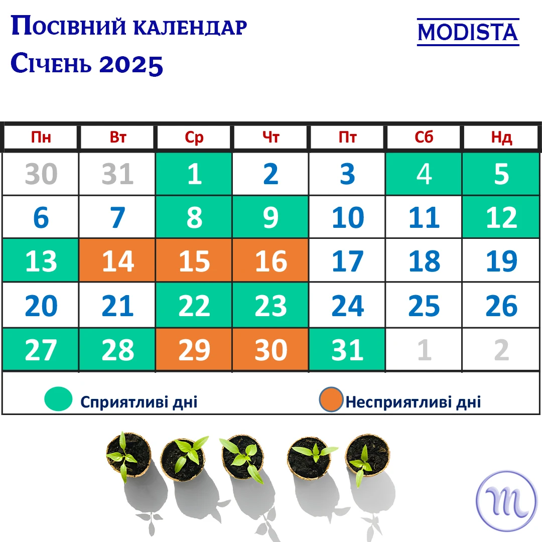 Січневий старт для щедрого врожаю: посівний календар 2025 – Modista - Жіночий журнал Без категорії - Січневий старт для щедрого врожаю: посівний календар 2025