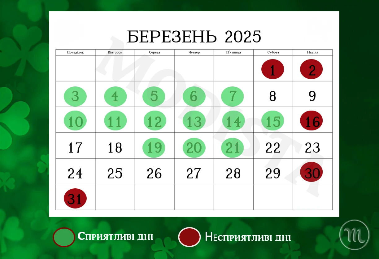 Без категорії - Оптимальний час для посадки: посівний календар на березень 2025 року для овочів, зелені та квітів