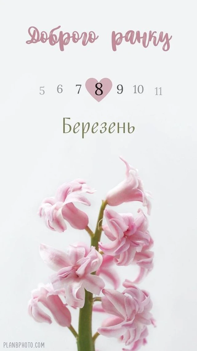 Без категорії - Найкращі привітання з 8 березням: патріотичні для жінок ЗСУ, відеопривітання, листівки так картинки українською