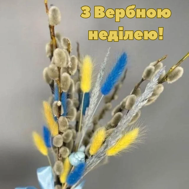 Без категорії - З Вербною неділею 2025: найщиріші привітання зі святом у прозі, картинках та листівках