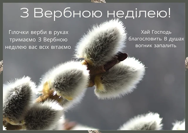 Без категорії - З Вербною неділею 2025: найщиріші привітання зі святом у прозі, картинках та листівках