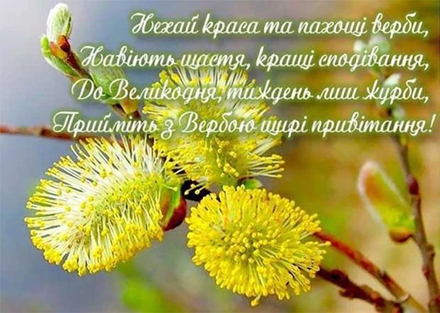 Без категорії - З Вербною неділею 2025: найщиріші привітання зі святом у прозі, картинках та листівках