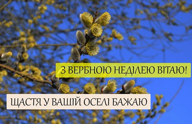 Без категорії - З Вербною неділею 2025: найщиріші привітання зі святом у прозі, картинках та листівках