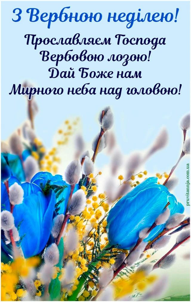 Без категорії - З Вербною неділею 2025: найщиріші привітання зі святом у прозі, картинках та листівках