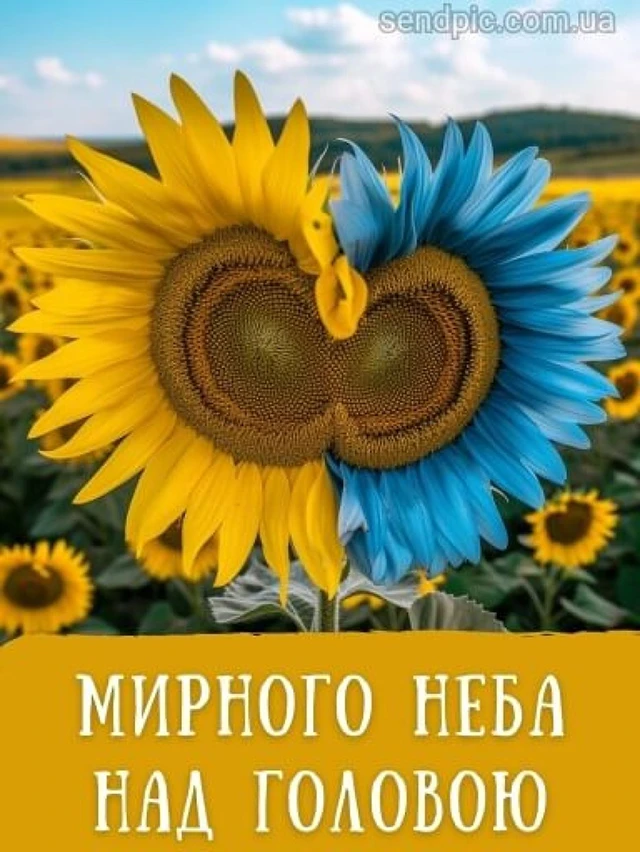 Без категорії - Привітання, що зігрівають серце: найкращі вірші та листівки до Дня Незалежності України