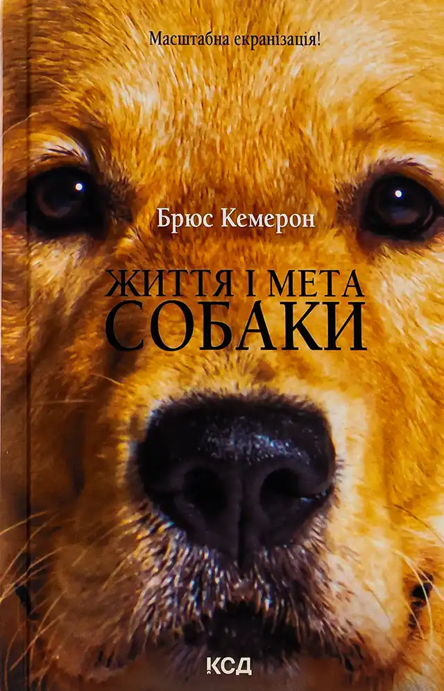 Саморозвиток. Цікава добірка книг про наших домашніх улюбленців які варто прочитати &ndash; Modista - Жіночий журнал