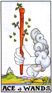 Ace of Wands