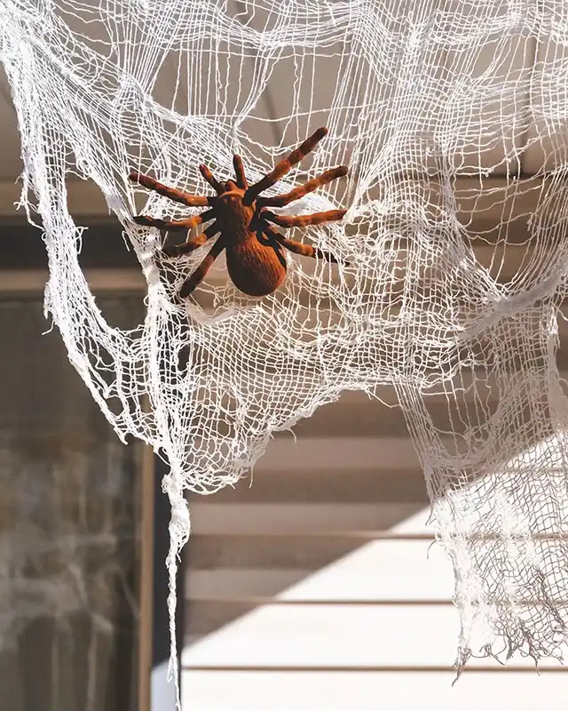 Design and interior. Even the Neighbors Will Be Jealous: Cool Halloween Decor for Pennies That Will Create a Spooky Atmosphere &ndash; Modista Women's Magazine