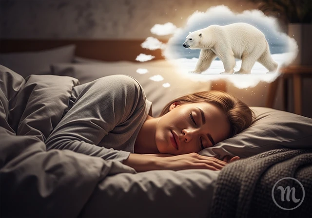 Esotericism. Did you dream of a polar bear? This may be a warning: an unexpected dream interpretation you didn't suspect &ndash; Modista Women's Magazine