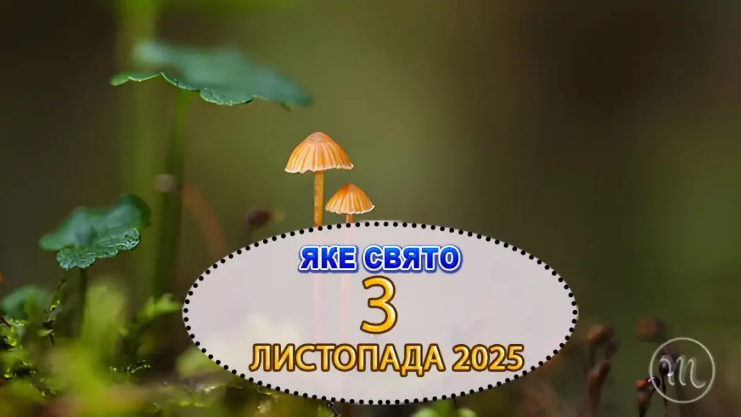 Svyato 3 Lystopada Denʹ Pam'yati Muchenykiv Meduz_01