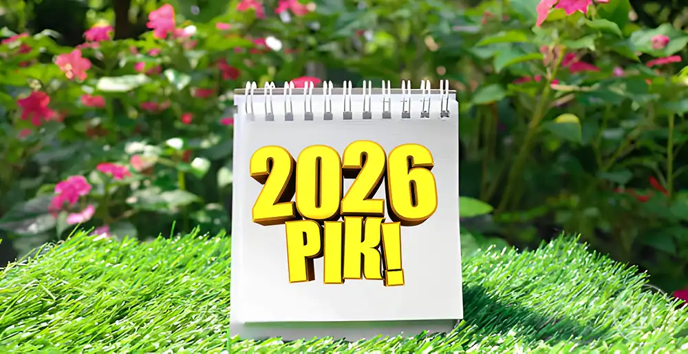 Modista - Жіночий журнал  - Календар Свят На 2026 Рік: Чи Світять Нам Додаткові Вихідні Та В Які Дні Різдво Та Новий Рік
