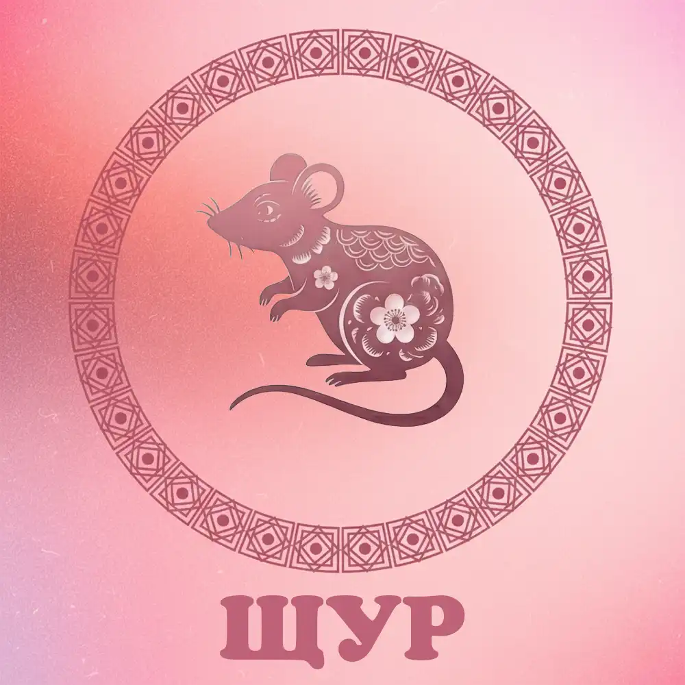 На китайський знак Зодіаку Щур чекає удача 20 грудня 2025 року