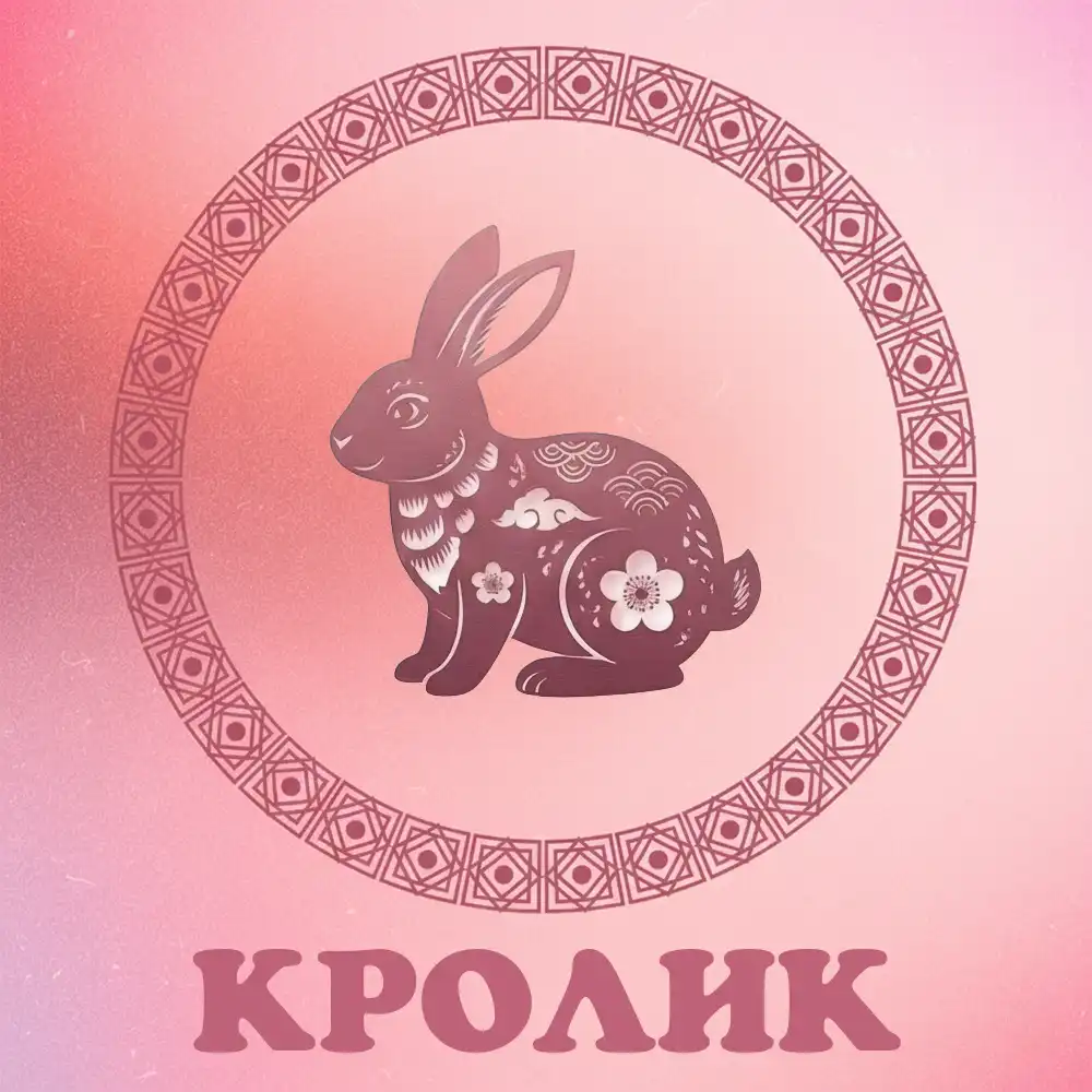 На китайський знак Зодіаку Кролик чекає удача 20 грудня 2025 року