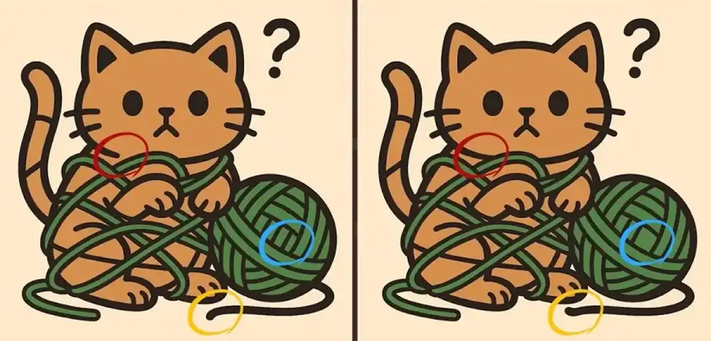 Тест На IQ Знайдіть Три Відмінності На Малюнку З Котом За Двадцять Три Секунди Modista - Жіночий журнал Modista - Жіночий журнал - Тест На IQ Знайдіть Три Відмінності На Малюнку З Котом За Двадцять Три Секунди