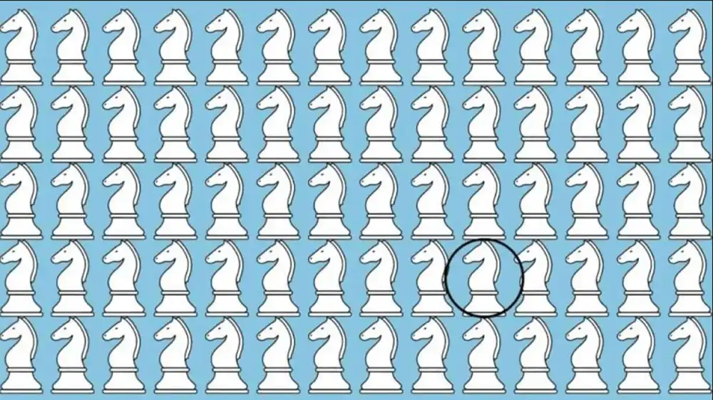Modista - Жіночий журнал  - Головоломка Для Перевірки Зору Знайдіть Дивного Коня Серед Шахових Фігур
