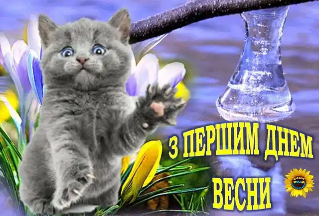 Modista - Жіночий журнал  - З Першим Днем Весни: Поділіться Цим Теплом І Надією З Найближчими