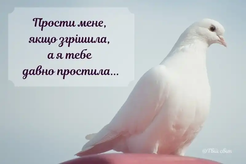 Modista - Жіночий журнал  - Найкращі Листівки Та Привітання До Прощеної Неділі: Як Щиро Попросити Вибачення Цього Дня