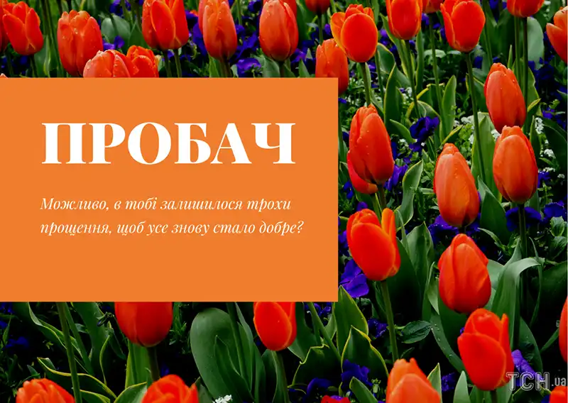 Modista - Жіночий журнал  - Найкращі Листівки Та Привітання До Прощеної Неділі: Як Щиро Попросити Вибачення Цього Дня