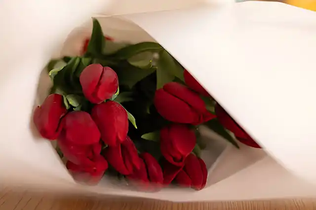 Не купуйте перше-ліпше: як правильно обрати букет на 8 березня, що запам'ятається вашій дружині Modista - Жіночий журнал Modista - Жіночий журнал - Не купуйте перше-ліпше: як правильно обрати букет на 8 березня, що запам'ятається вашій дружині