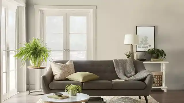 Modista - Women's magazine Uncategorized - These 8 Paint Shades Are Used by Designers to Create a Warm and Cozy Living Room