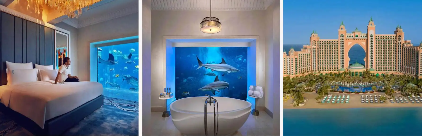 MODISTA - The World’s Most Stunning Underwater Hotels: Dive Into a Sleep Experience That Redefines Luxury