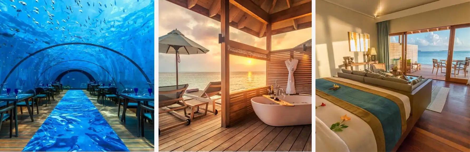 MODISTA - The World’s Most Stunning Underwater Hotels: Dive Into a Sleep Experience That Redefines Luxury