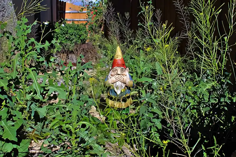 Modista - Women's magazine Uncategorized - Six Yard Design Mistakes That Instantly Ruin Your Home's Curb Appeal