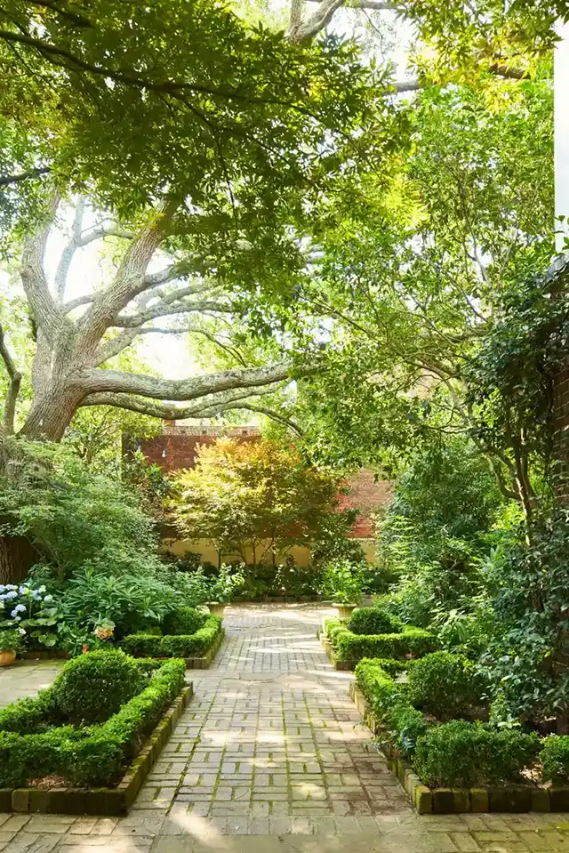 Modista - Women's magazine Uncategorized - Which 10 Solutions For Your Yard Will Let You Forget Your Lawnmower Forever