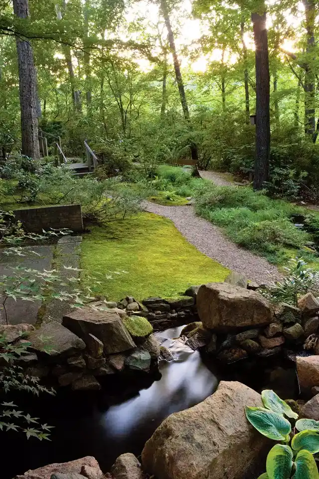 Modista - Women's magazine Uncategorized - Which 10 Solutions For Your Yard Will Let You Forget Your Lawnmower Forever