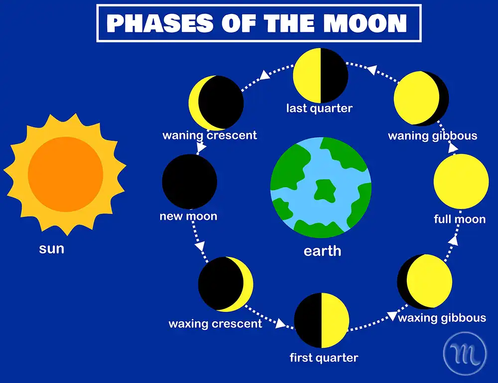 The Ultimate Lunar Guide: Discover Your Power Days and the Dates to Avoid This Month | MODISTA