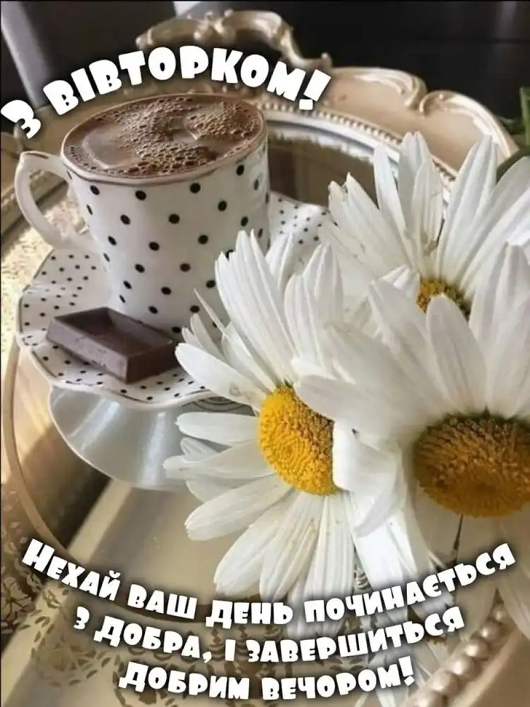 Заряд позитиву на весь день: як одне коротке повідомлення у вівторок змінює робочий настрій | MODISTA