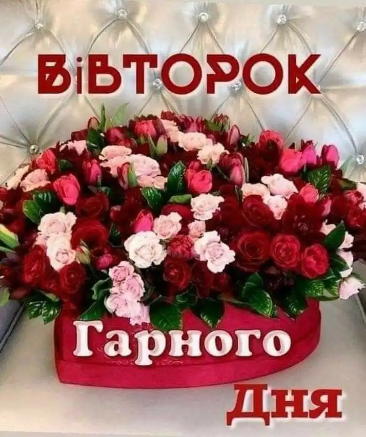 Заряд позитиву на весь день: як одне коротке повідомлення у вівторок змінює робочий настрій | MODISTA