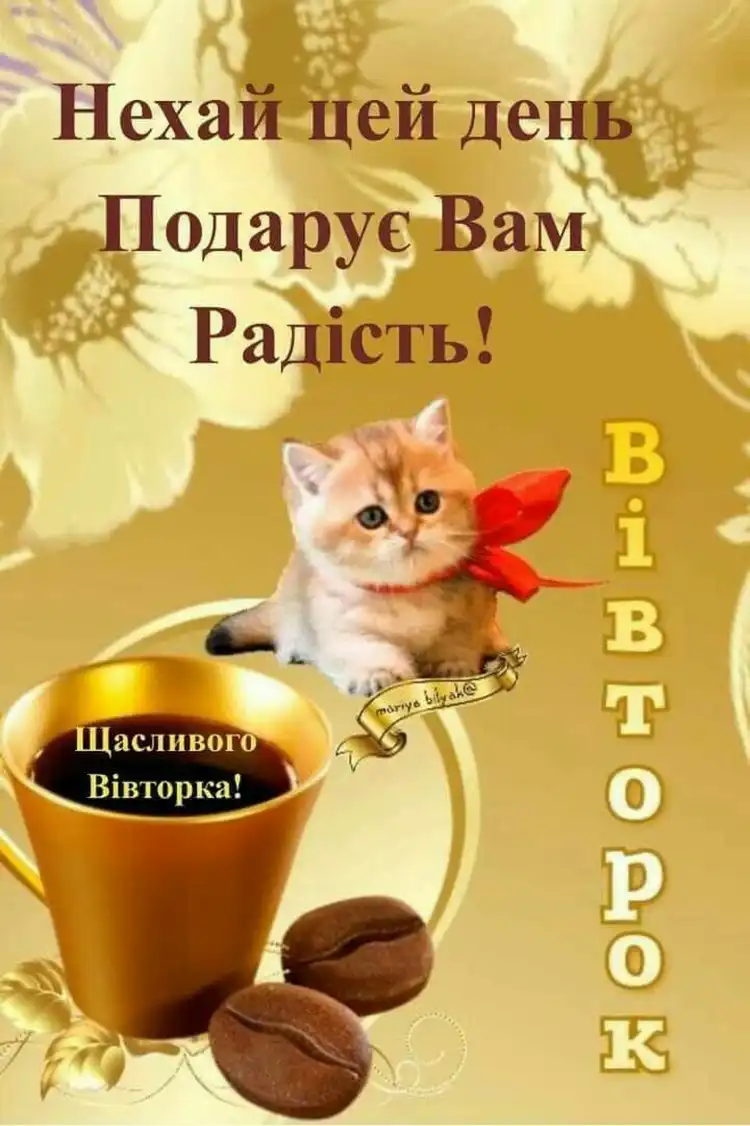Заряд позитиву на весь день: як одне коротке повідомлення у вівторок змінює робочий настрій | MODISTA