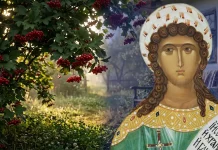 Чому 29 липня має містичне значення і яких дій варто уникати, особливо щодо землі та калини | MODISTA